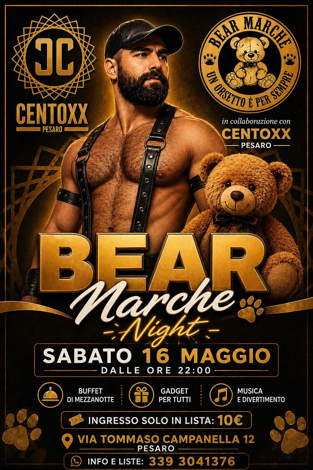 Locandina Bear Marche Night