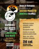 Pranzetto "Bears in Romagna"